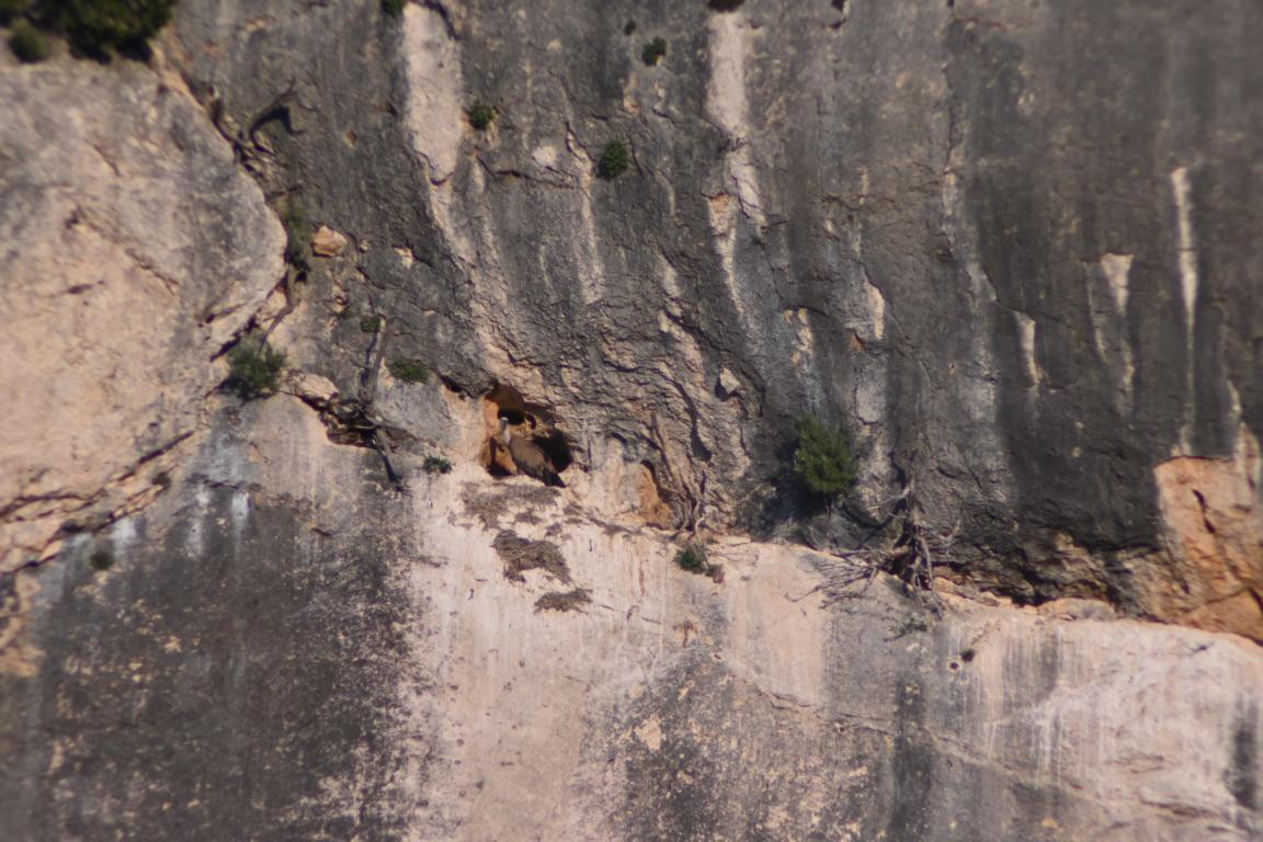 Klicke auf die Grafik für eine vergrößerte Ansicht

Name: DSC_4335.jpg
Ansichten: 33
Größe: 219,9 KB
ID: 3354966