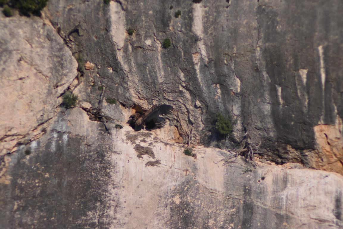 Klicke auf die Grafik für eine vergrößerte Ansicht

Name: DSC_4336.jpg
Ansichten: 33
Größe: 216,4 KB
ID: 3354967