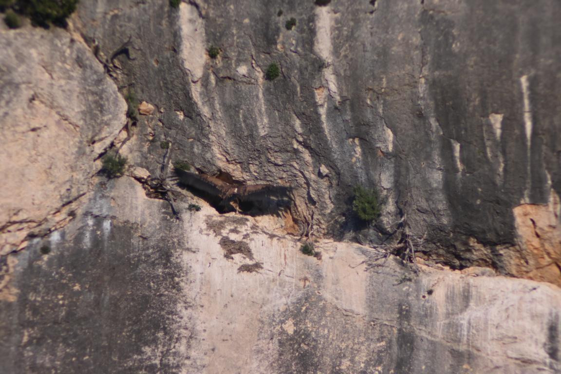 Klicke auf die Grafik für eine vergrößerte Ansicht

Name: DSC_4339.jpg
Ansichten: 33
Größe: 214,0 KB
ID: 3354968