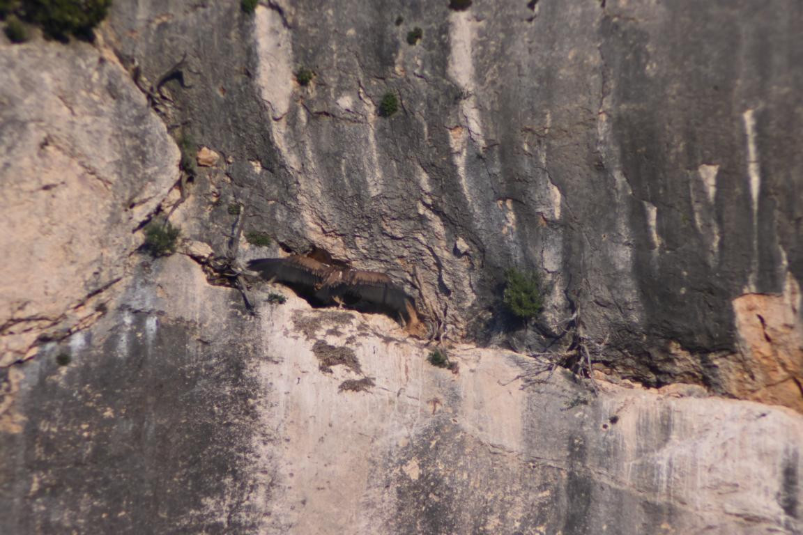 Klicke auf die Grafik für eine vergrößerte Ansicht

Name: DSC_4344.jpg
Ansichten: 33
Größe: 214,4 KB
ID: 3354990