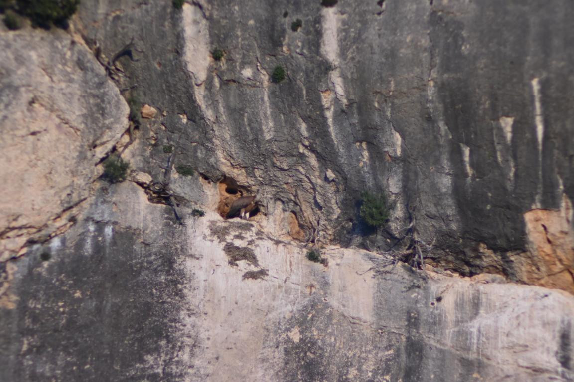 Klicke auf die Grafik für eine vergrößerte Ansicht

Name: DSC_4357.jpg
Ansichten: 33
Größe: 203,3 KB
ID: 3354991