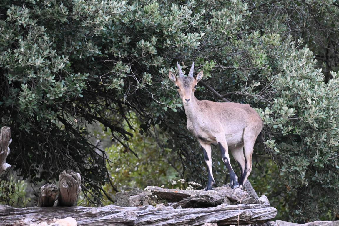 Klicke auf die Grafik für eine vergrößerte Ansicht

Name: DSC_4313.jpg
Ansichten: 32
Größe: 334,3 KB
ID: 3354970