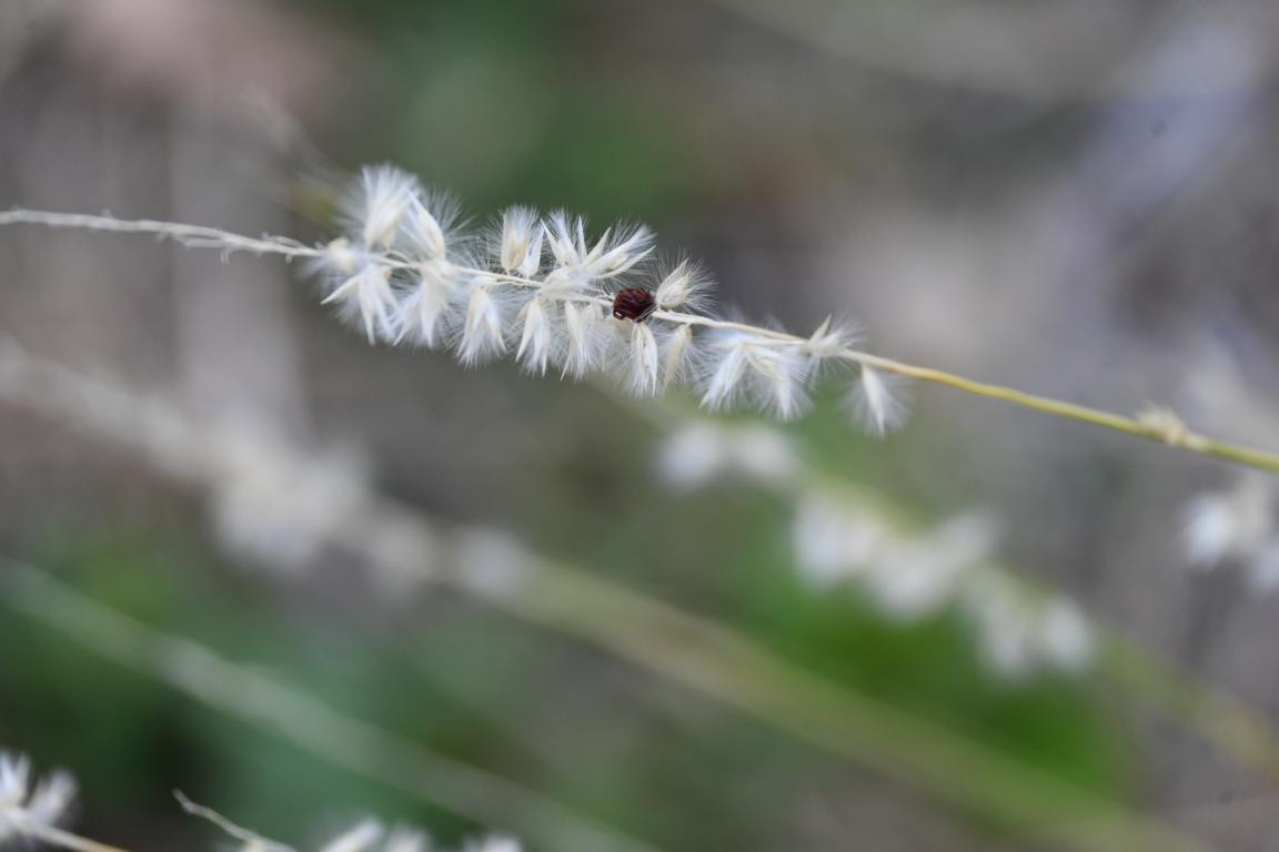 Klicke auf die Grafik für eine vergrößerte Ansicht

Name: DSC_4431.jpg
Ansichten: 32
Größe: 73,5 KB
ID: 3354972