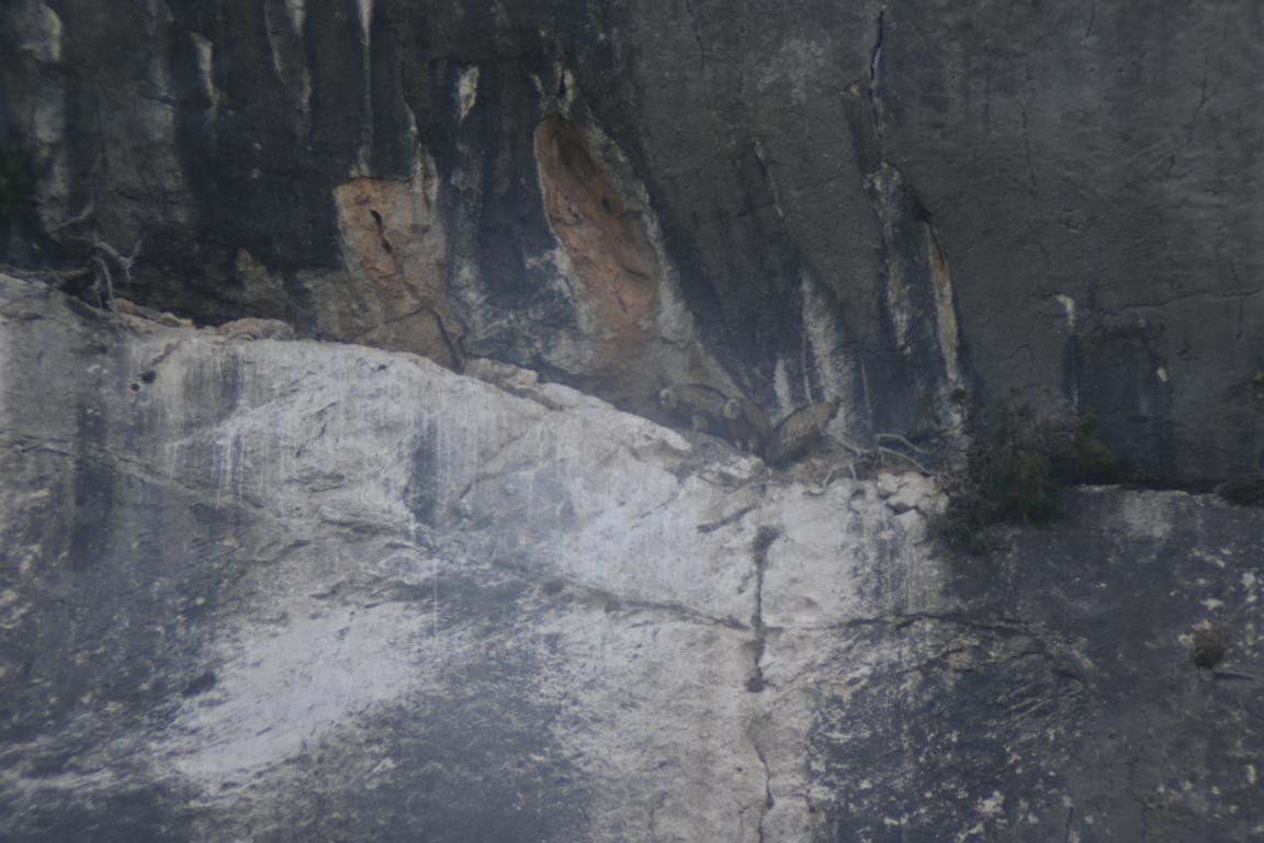 Klicke auf die Grafik für eine vergrößerte Ansicht

Name: DSC_4586.jpg
Ansichten: 32
Größe: 151,2 KB
ID: 3354982