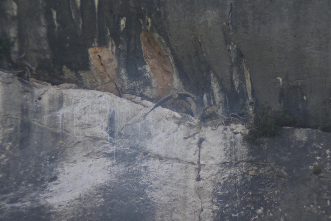 Klicke auf die Grafik für eine vergrößerte Ansicht

Name: DSC_4610.jpg
Ansichten: 32
Größe: 139,6 KB
ID: 3354983