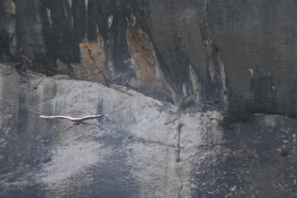 Klicke auf die Grafik für eine vergrößerte Ansicht

Name: DSC_4612.jpg
Ansichten: 32
Größe: 143,4 KB
ID: 3354984