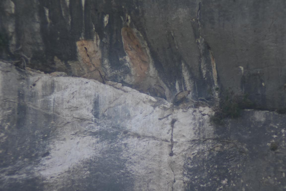 Klicke auf die Grafik für eine vergrößerte Ansicht

Name: DSC_4616.jpg
Ansichten: 32
Größe: 134,3 KB
ID: 3354985