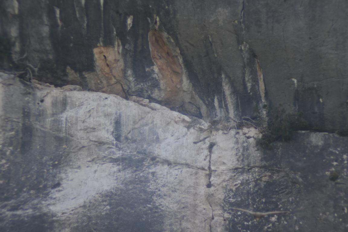 Klicke auf die Grafik für eine vergrößerte Ansicht

Name: DSC_4631.jpg
Ansichten: 32
Größe: 140,3 KB
ID: 3354986