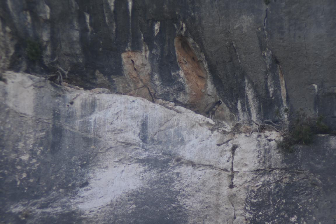 Klicke auf die Grafik für eine vergrößerte Ansicht

Name: DSC_4710.jpg
Ansichten: 32
Größe: 170,9 KB
ID: 3354989