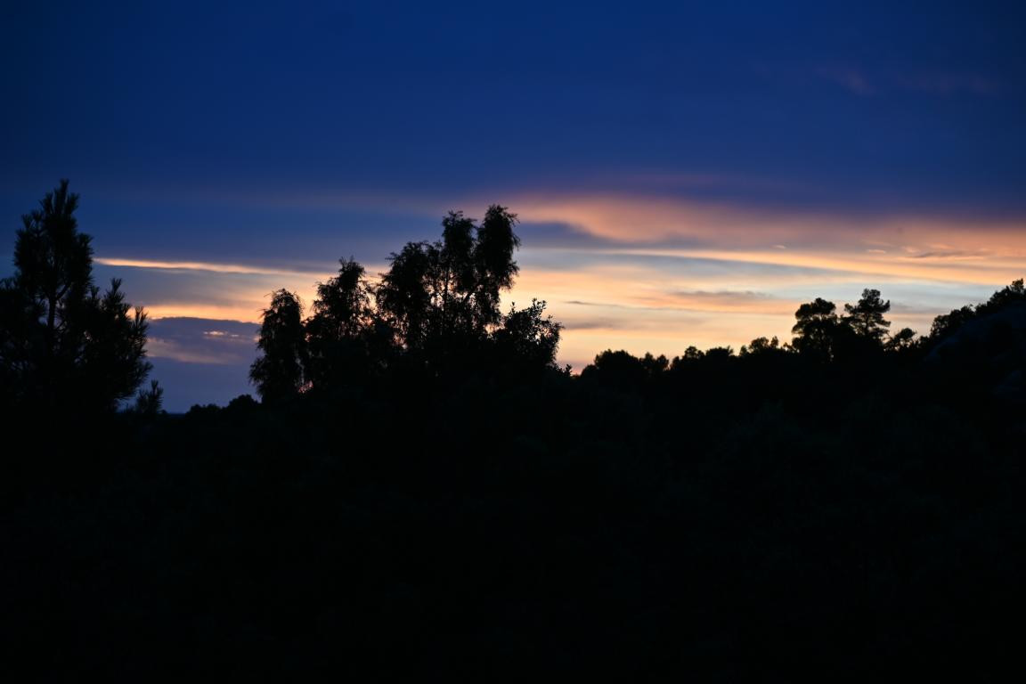 Klicke auf die Grafik für eine vergrößerte Ansicht

Name: DSC_4700.jpg
Ansichten: 105
Größe: 71,7 KB
ID: 3355076