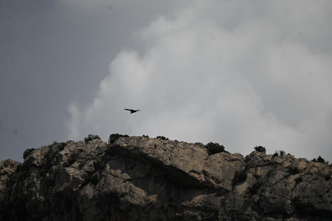 Klicke auf die Grafik für eine vergrößerte Ansicht

Name: DSC_4746.jpg
Ansichten: 105
Größe: 98,2 KB
ID: 3355080