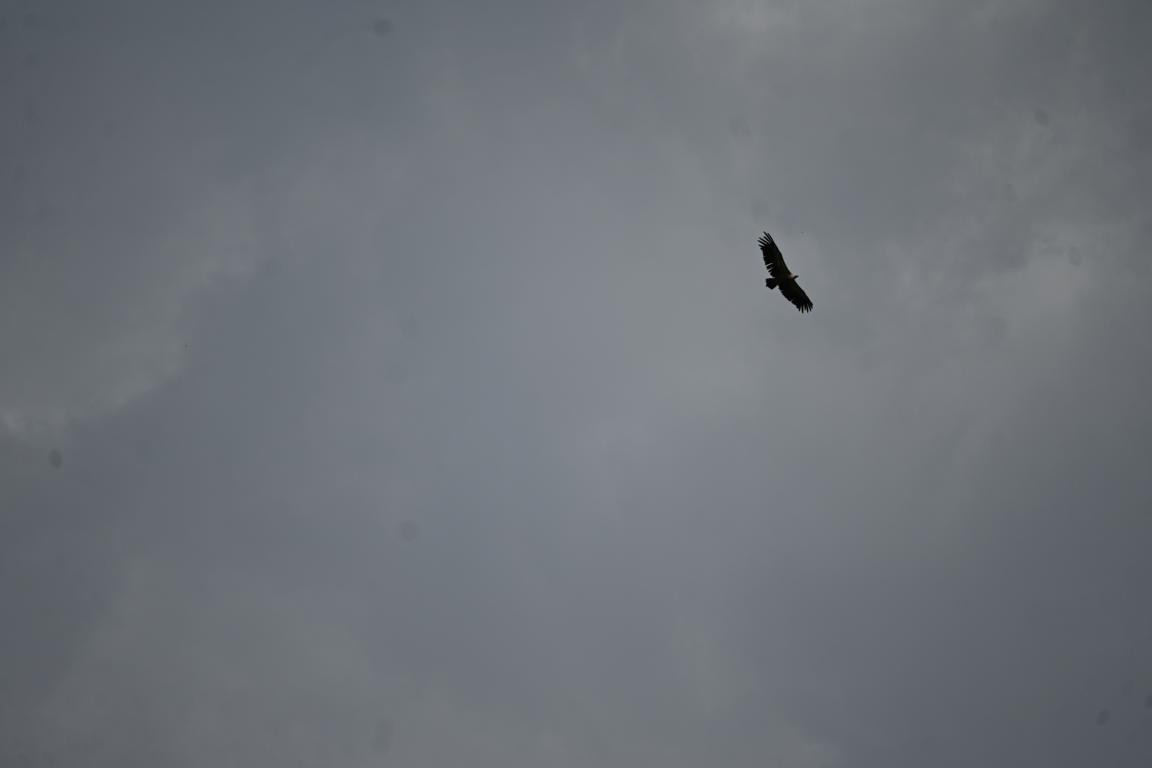 Klicke auf die Grafik für eine vergrößerte Ansicht

Name: DSC_4747.jpg
Ansichten: 104
Größe: 31,2 KB
ID: 3355081