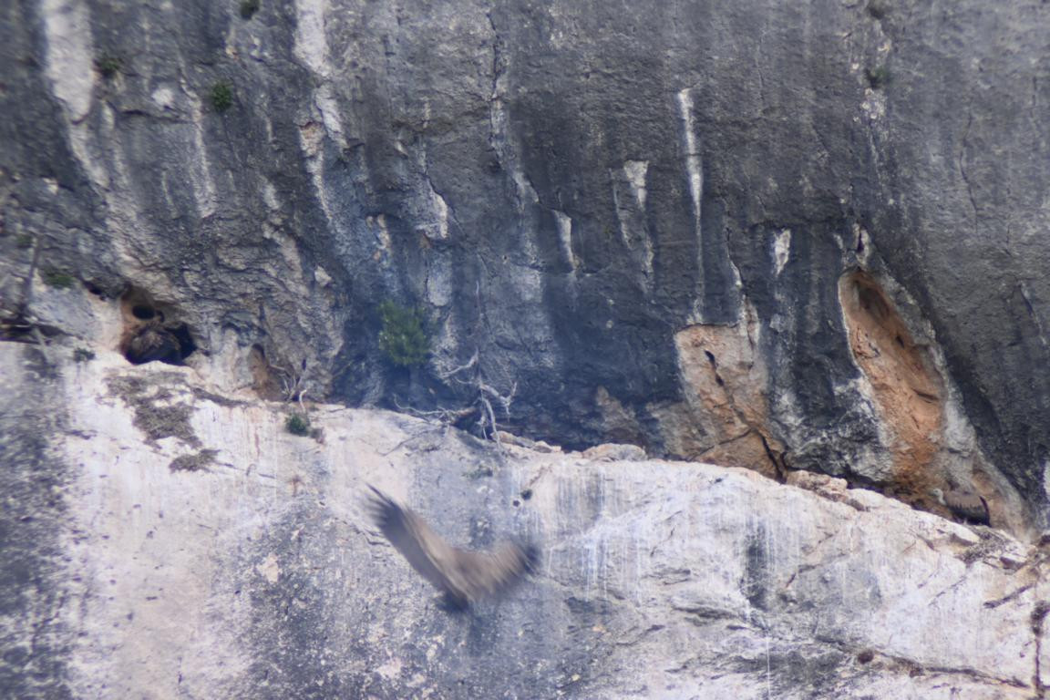 Klicke auf die Grafik für eine vergrößerte Ansicht

Name: DSC_4780.jpg
Ansichten: 110
Größe: 236,6 KB
ID: 3355082