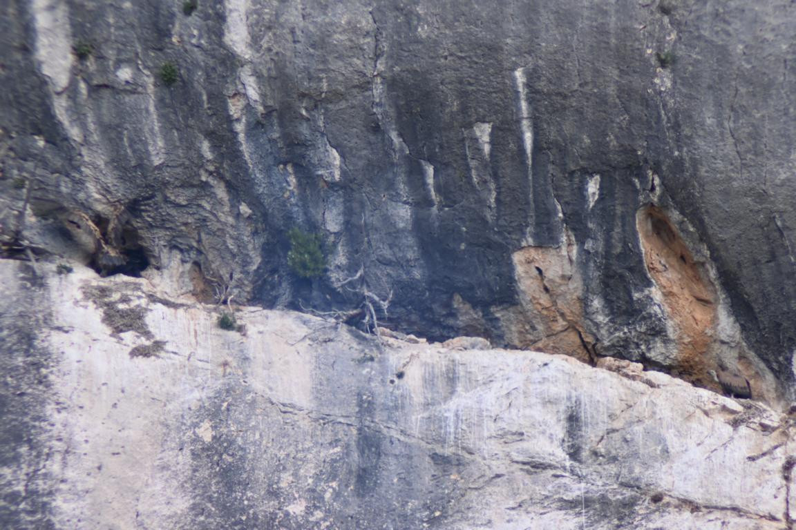 Klicke auf die Grafik für eine vergrößerte Ansicht

Name: DSC_4783.jpg
Ansichten: 109
Größe: 238,0 KB
ID: 3355083