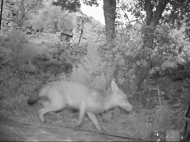 Klicke auf die Grafik für eine vergrößerte Ansicht

Name: vlcsnap-2025-10-25-07h24m47s149.png
Ansichten: 108
Größe: 262,1 KB
ID: 3355084