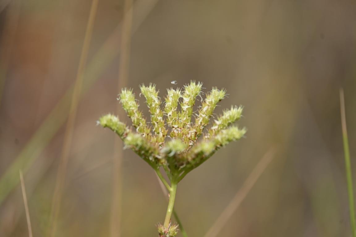 Klicke auf die Grafik für eine vergrößerte Ansicht

Name: DSC_4841.jpg
Ansichten: 103
Größe: 70,8 KB
ID: 3355088