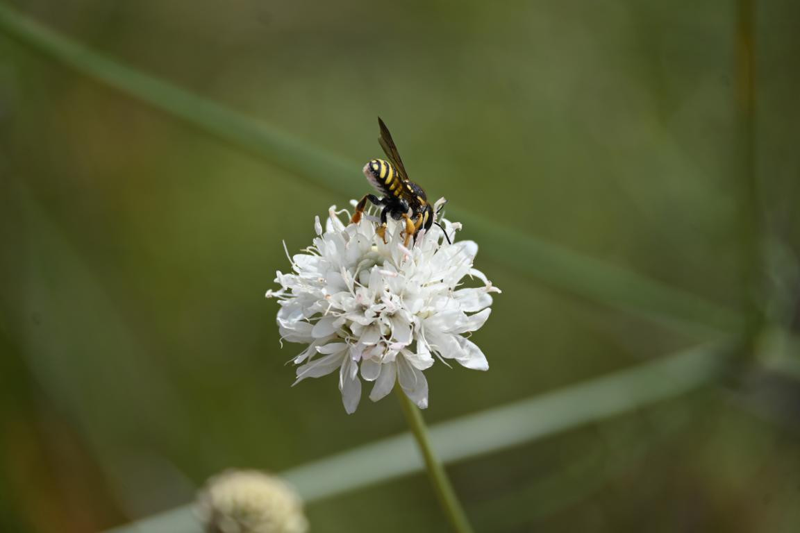 Klicke auf die Grafik für eine vergrößerte Ansicht

Name: DSC_4843.jpg
Ansichten: 105
Größe: 68,3 KB
ID: 3355089