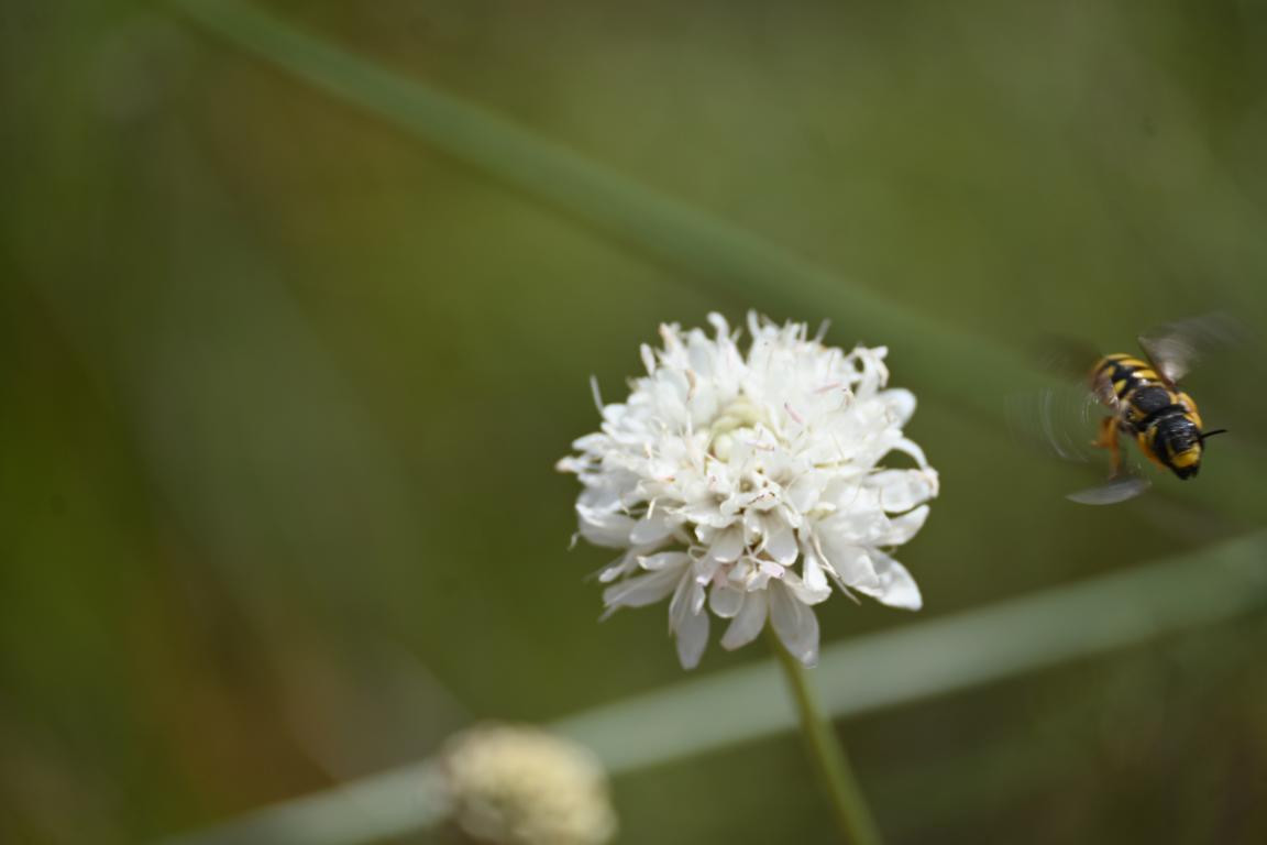 Klicke auf die Grafik für eine vergrößerte Ansicht

Name: DSC_4846.jpg
Ansichten: 103
Größe: 62,5 KB
ID: 3355090