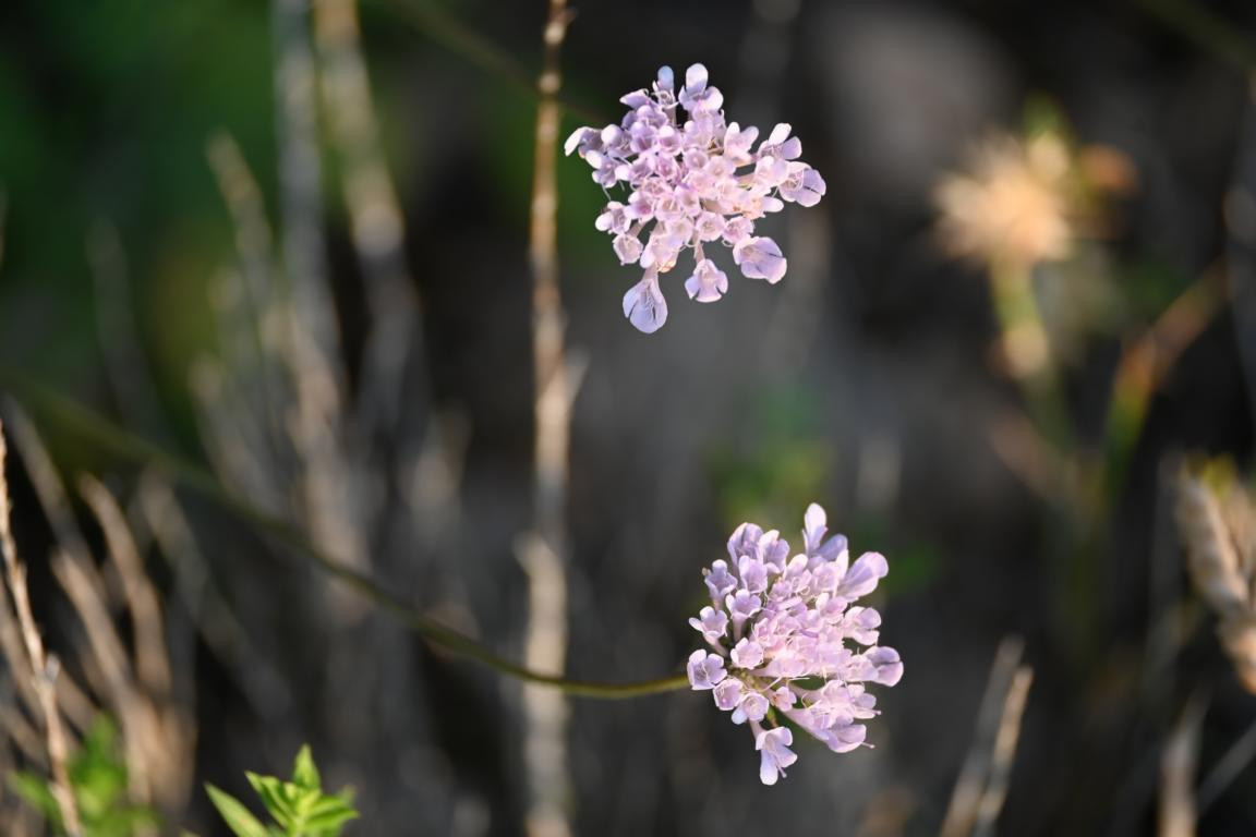 Klicke auf die Grafik für eine vergrößerte Ansicht

Name: DSC_4916.jpg
Ansichten: 107
Größe: 103,8 KB
ID: 3355093