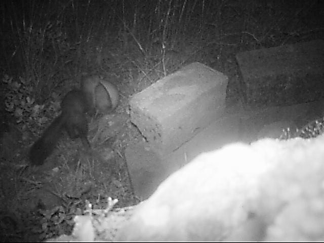 Klicke auf die Grafik für eine vergrößerte Ansicht

Name: vlcsnap-2025-10-25-07h25m57s066.png
Ansichten: 107
Größe: 210,1 KB
ID: 3355095