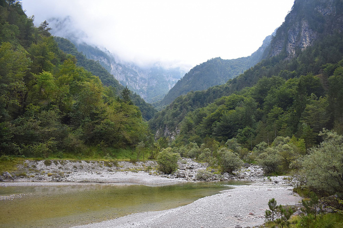 Klicke auf die Grafik für eine vergrößerte Ansicht

Name: DSC_0219.jpg
Ansichten: 232
Größe: 846,8 KB
ID: 3355140