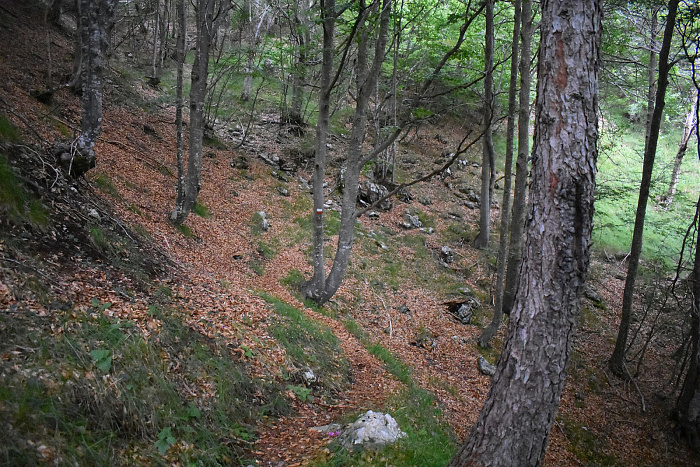 Klicke auf die Grafik für eine vergrößerte Ansicht

Name: DSC_0202.jpg
Ansichten: 234
Größe: 1,12 MB
ID: 3355141