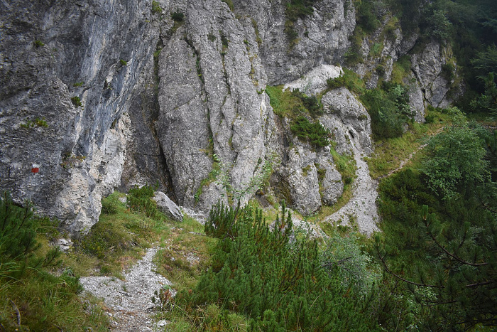 Klicke auf die Grafik für eine vergrößerte Ansicht

Name: DSC_0213.jpg
Ansichten: 236
Größe: 1,11 MB
ID: 3355144