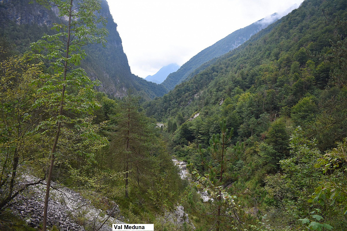 Klicke auf die Grafik für eine vergrößerte Ansicht

Name: DSC_0217.jpg
Ansichten: 233
Größe: 1,01 MB
ID: 3355146