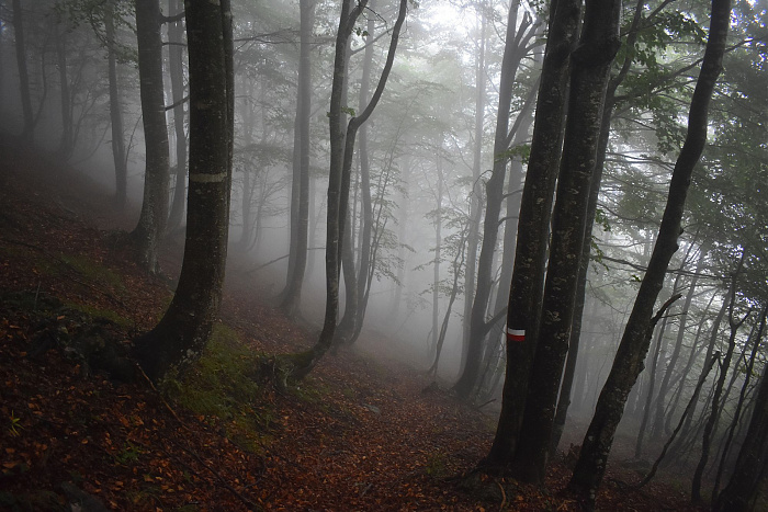 Klicke auf die Grafik für eine vergrößerte Ansicht

Name: DSC_0211.jpg
Ansichten: 234
Größe: 651,0 KB
ID: 3355147