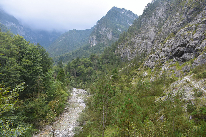 Klicke auf die Grafik für eine vergrößerte Ansicht

Name: DSC_0225.jpg
Ansichten: 233
Größe: 1,02 MB
ID: 3355149