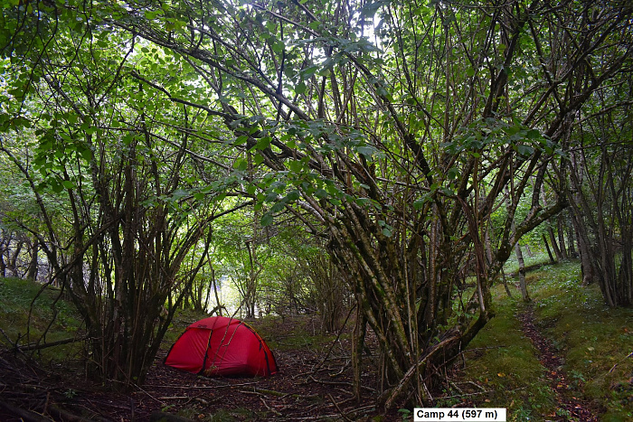 Klicke auf die Grafik für eine vergrößerte Ansicht

Name: DSC_0234.jpg
Ansichten: 238
Größe: 1,25 MB
ID: 3355150