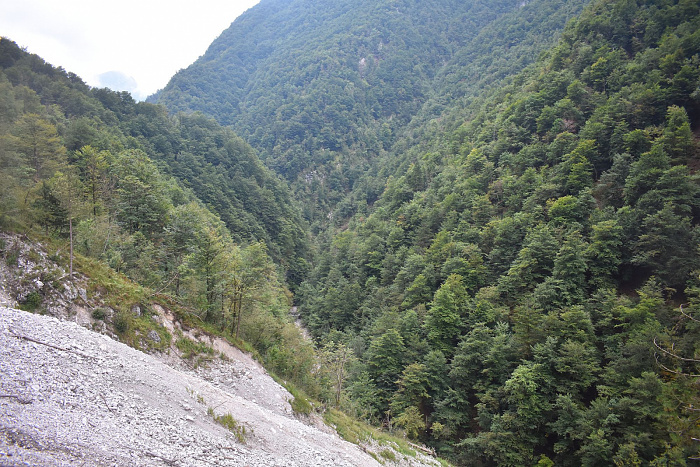 Klicke auf die Grafik für eine vergrößerte Ansicht

Name: DSC_0233.jpg
Ansichten: 234
Größe: 1,06 MB
ID: 3355151