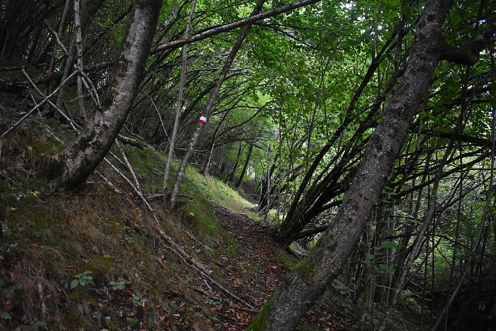 Klicke auf die Grafik für eine vergrößerte Ansicht

Name: DSC_0240.jpg
Ansichten: 215
Größe: 1,09 MB
ID: 3355176