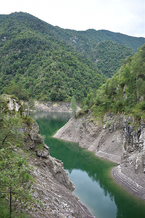 Klicke auf die Grafik für eine vergrößerte Ansicht

Name: DSC_0257.jpg
Ansichten: 204
Größe: 719,7 KB
ID: 3355180