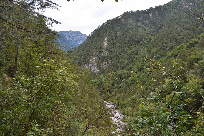 Klicke auf die Grafik für eine vergrößerte Ansicht

Name: DSC_0268.jpg
Ansichten: 205
Größe: 1,12 MB
ID: 3355186