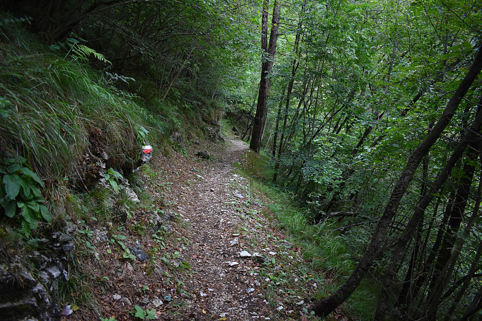 Klicke auf die Grafik für eine vergrößerte Ansicht

Name: DSC_0266.jpg
Ansichten: 206
Größe: 1,21 MB
ID: 3355187