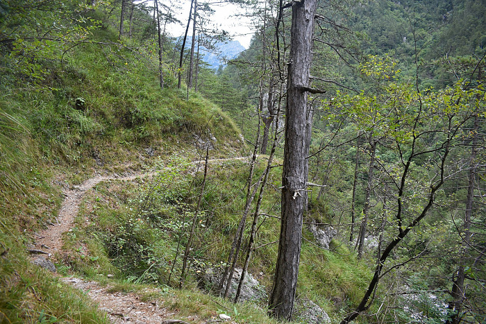 Klicke auf die Grafik für eine vergrößerte Ansicht

Name: DSC_0276.jpg
Ansichten: 205
Größe: 1,39 MB
ID: 3355188