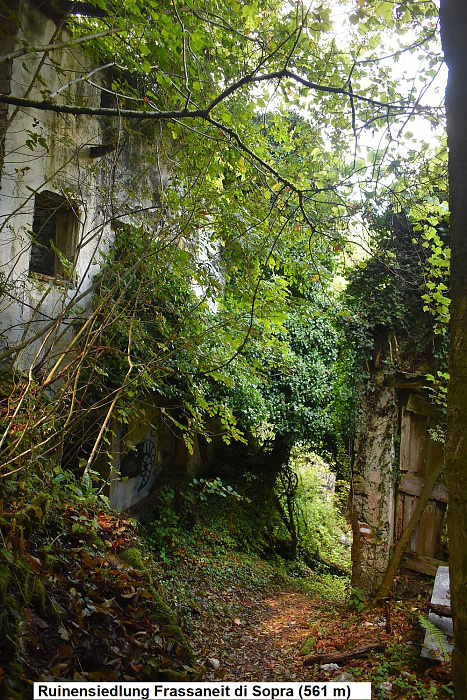 Klicke auf die Grafik für eine vergrößerte Ansicht

Name: DSC_0285.jpg
Ansichten: 209
Größe: 853,8 KB
ID: 3355189