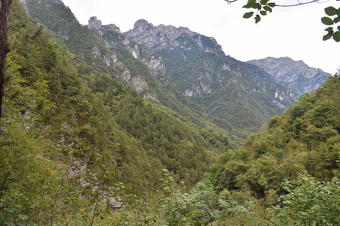 Klicke auf die Grafik für eine vergrößerte Ansicht

Name: DSC_0280.jpg
Ansichten: 205
Größe: 1,06 MB
ID: 3355190