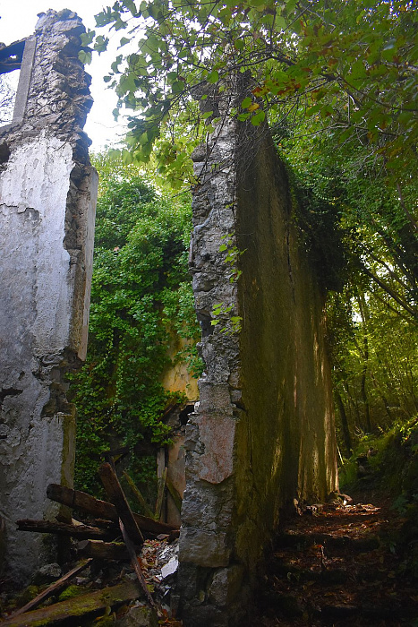 Klicke auf die Grafik für eine vergrößerte Ansicht

Name: DSC_0287.jpg
Ansichten: 205
Größe: 654,5 KB
ID: 3355191