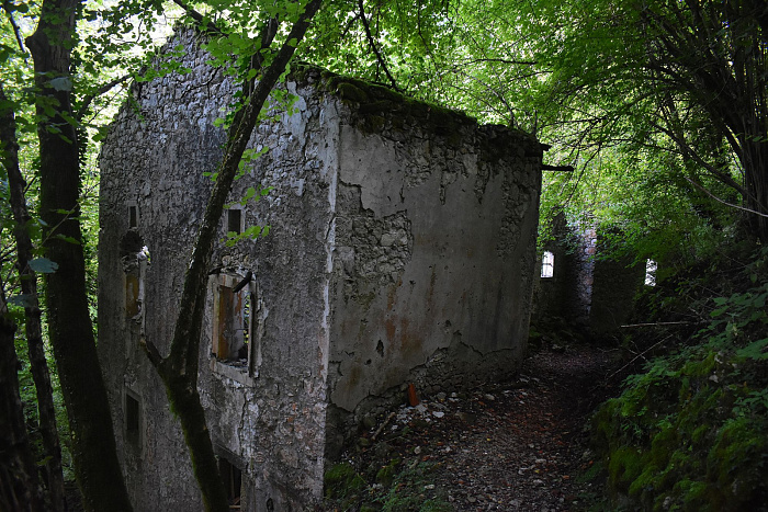 Klicke auf die Grafik für eine vergrößerte Ansicht

Name: DSC_0291.jpg
Ansichten: 206
Größe: 1.013,0 KB
ID: 3355193