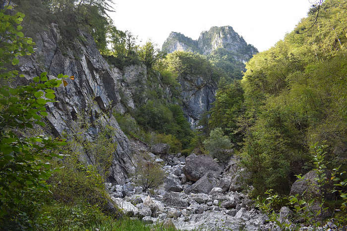 Klicke auf die Grafik für eine vergrößerte Ansicht

Name: DSC_0298.jpg
Ansichten: 202
Größe: 1,11 MB
ID: 3355196