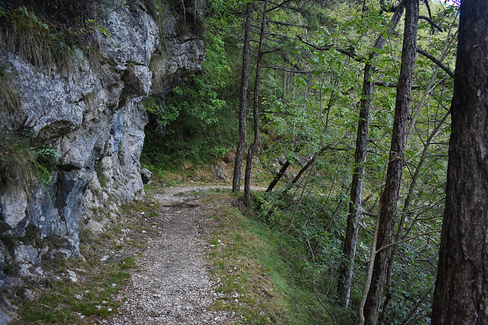 Klicke auf die Grafik für eine vergrößerte Ansicht

Name: DSC_0304.jpg
Ansichten: 199
Größe: 1,23 MB
ID: 3355198