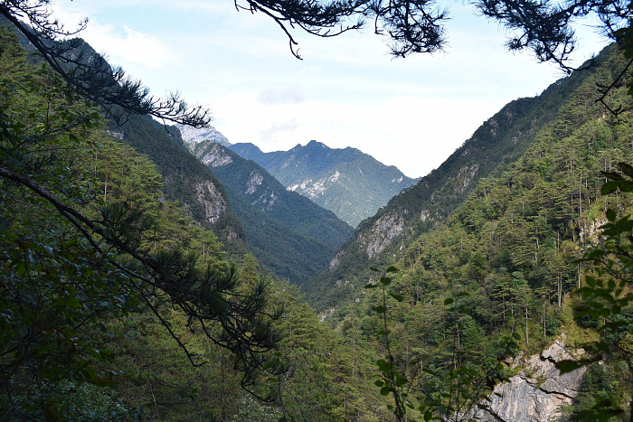 Klicke auf die Grafik für eine vergrößerte Ansicht

Name: DSC_0303.jpg
Ansichten: 203
Größe: 977,9 KB
ID: 3355199