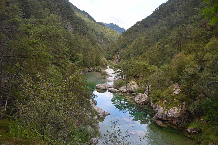 Klicke auf die Grafik für eine vergrößerte Ansicht

Name: DSC_0305.jpg
Ansichten: 203
Größe: 1.012,3 KB
ID: 3355201