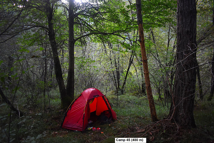 Klicke auf die Grafik für eine vergrößerte Ansicht

Name: DSC_0314.jpg
Ansichten: 205
Größe: 1,08 MB
ID: 3355203