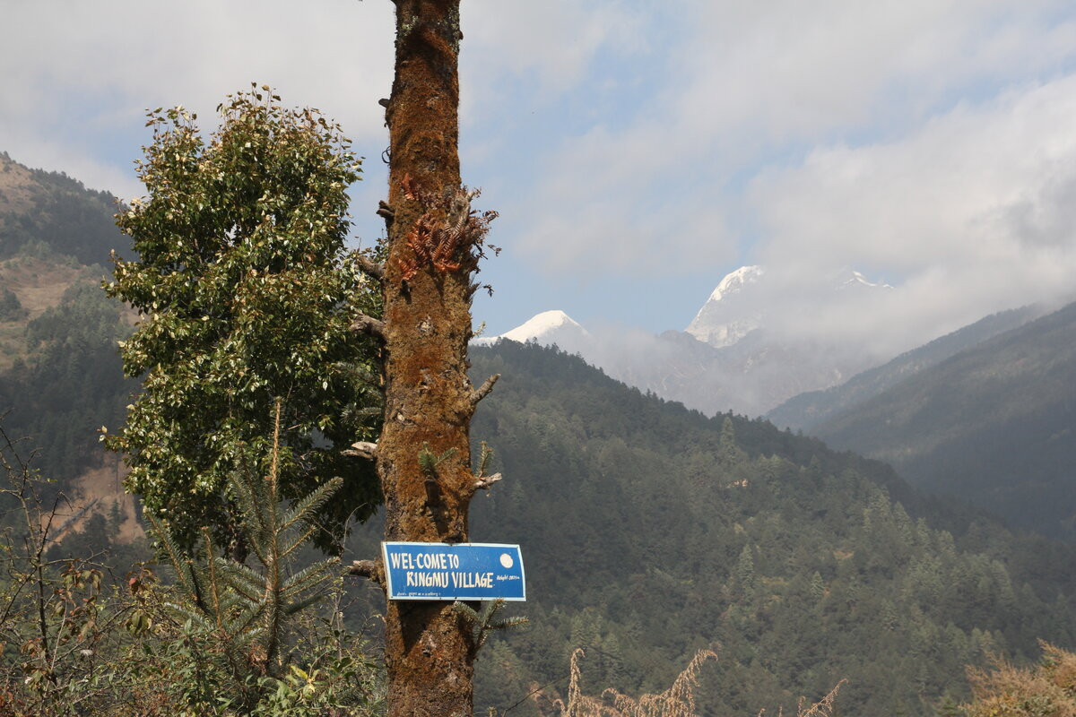 Klicke auf die Grafik für eine vergrößerte Ansicht  Name: IMG_9982.jpg Ansichten: 0 Größe: 277,4 KB ID: 3355269