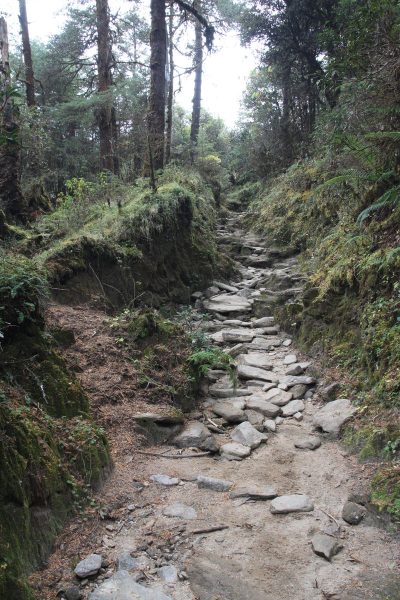 Klicke auf die Grafik für eine vergrößerte Ansicht  Name: IMG_9987.jpg Ansichten: 0 Größe: 466,3 KB ID: 3355270