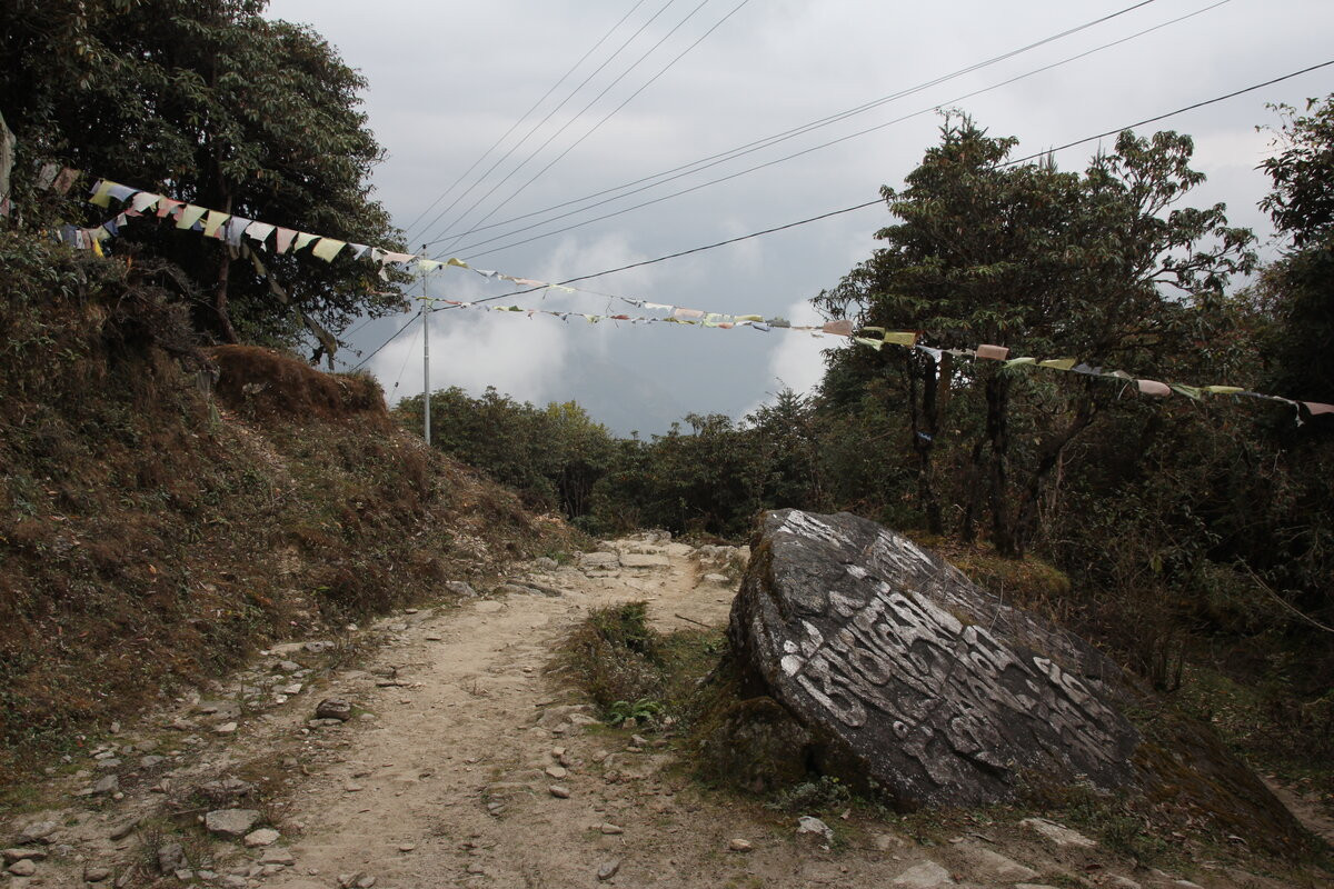 Klicke auf die Grafik für eine vergrößerte Ansicht  Name: IMG_9995.jpg Ansichten: 0 Größe: 346,9 KB ID: 3355273