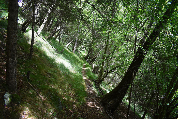 Klicke auf die Grafik für eine vergrößerte Ansicht

Name: DSC_0331.jpg
Ansichten: 84
Größe: 1,29 MB
ID: 3355283